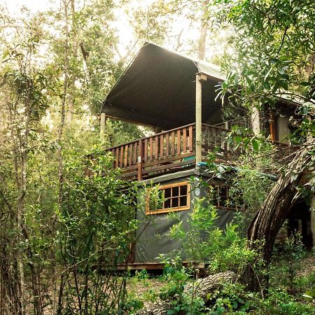 Fernhill Tented Treehouses Rheenendal Kültér fotó