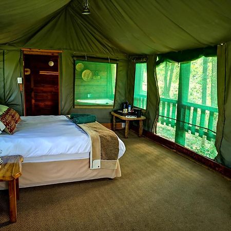 Fernhill Tented Treehouses Rheenendal Kültér fotó