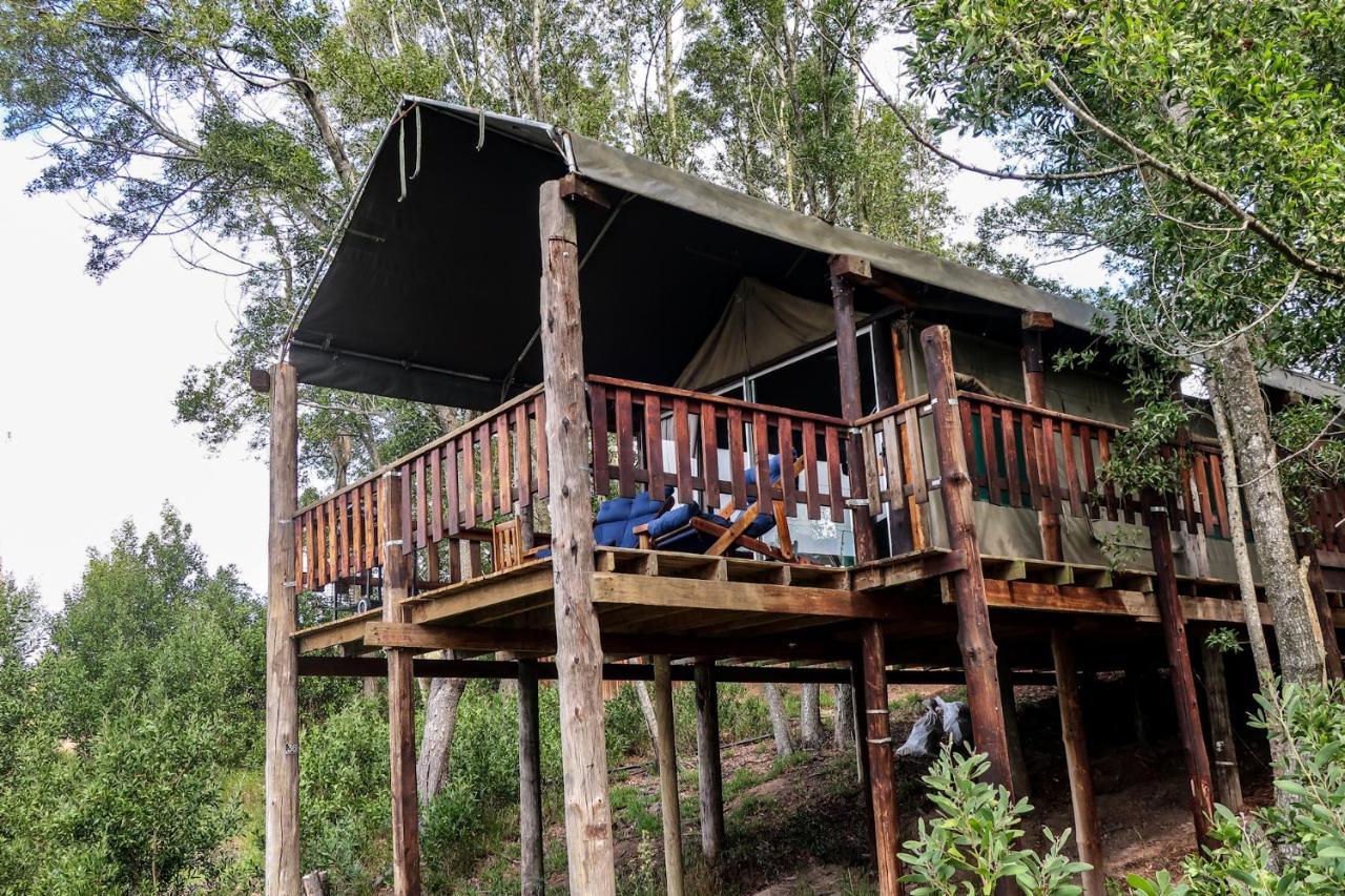 Fernhill Tented Treehouses Rheenendal Kültér fotó