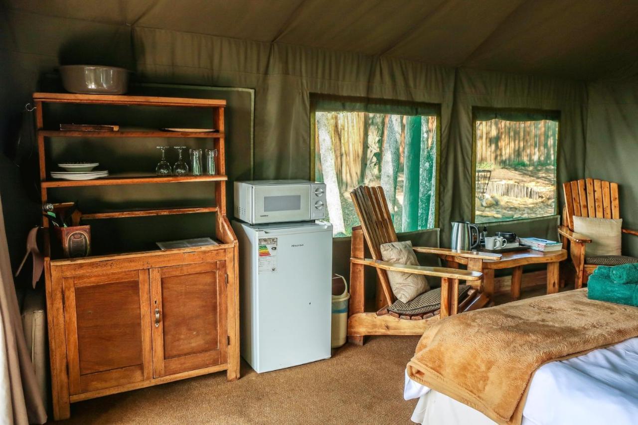 Fernhill Tented Treehouses Rheenendal Kültér fotó