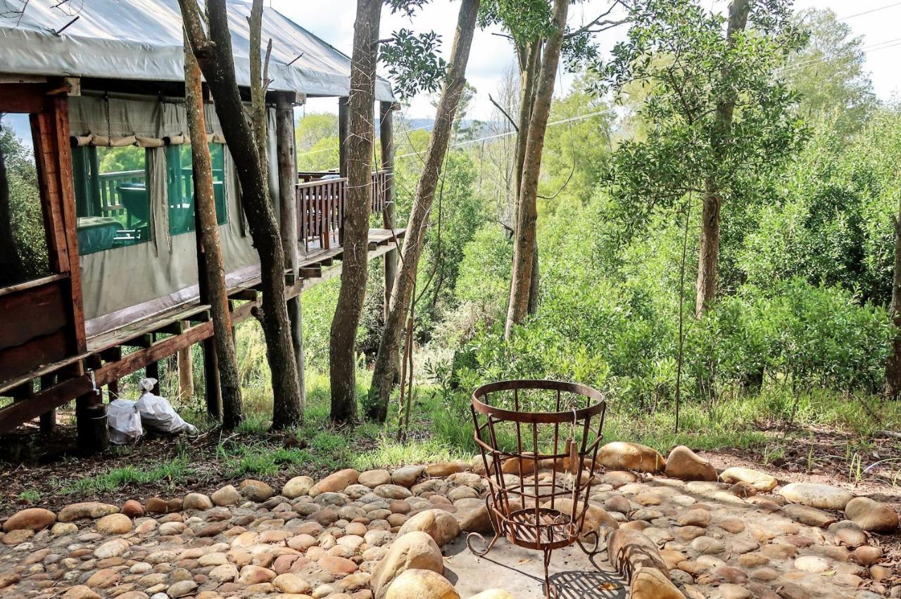 Fernhill Tented Treehouses Rheenendal Kültér fotó