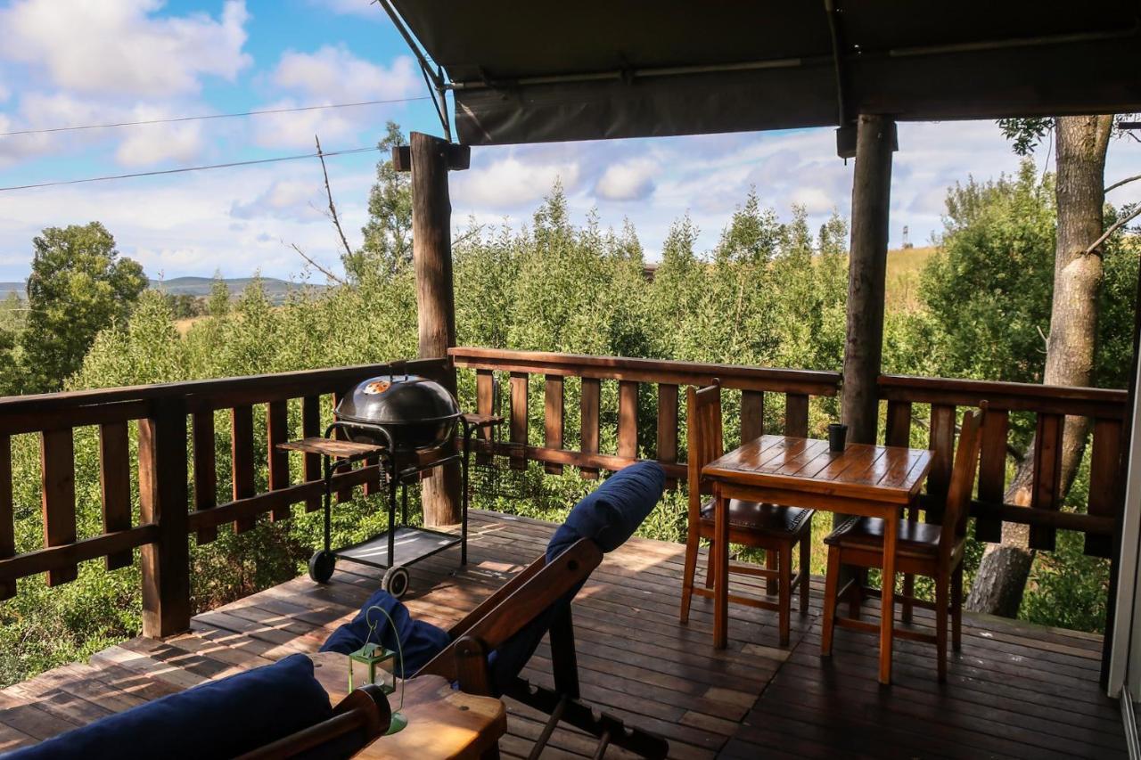 Fernhill Tented Treehouses Rheenendal Kültér fotó