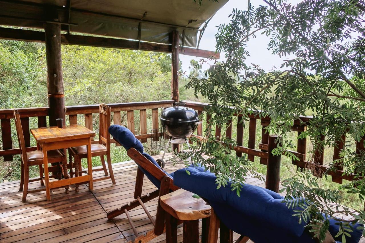 Fernhill Tented Treehouses Rheenendal Kültér fotó