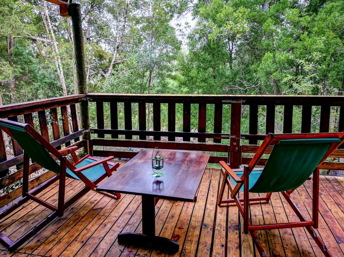 Fernhill Tented Treehouses Rheenendal Kültér fotó