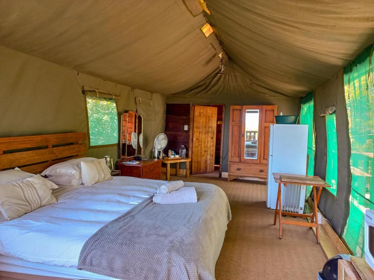 Fernhill Tented Treehouses Rheenendal Kültér fotó