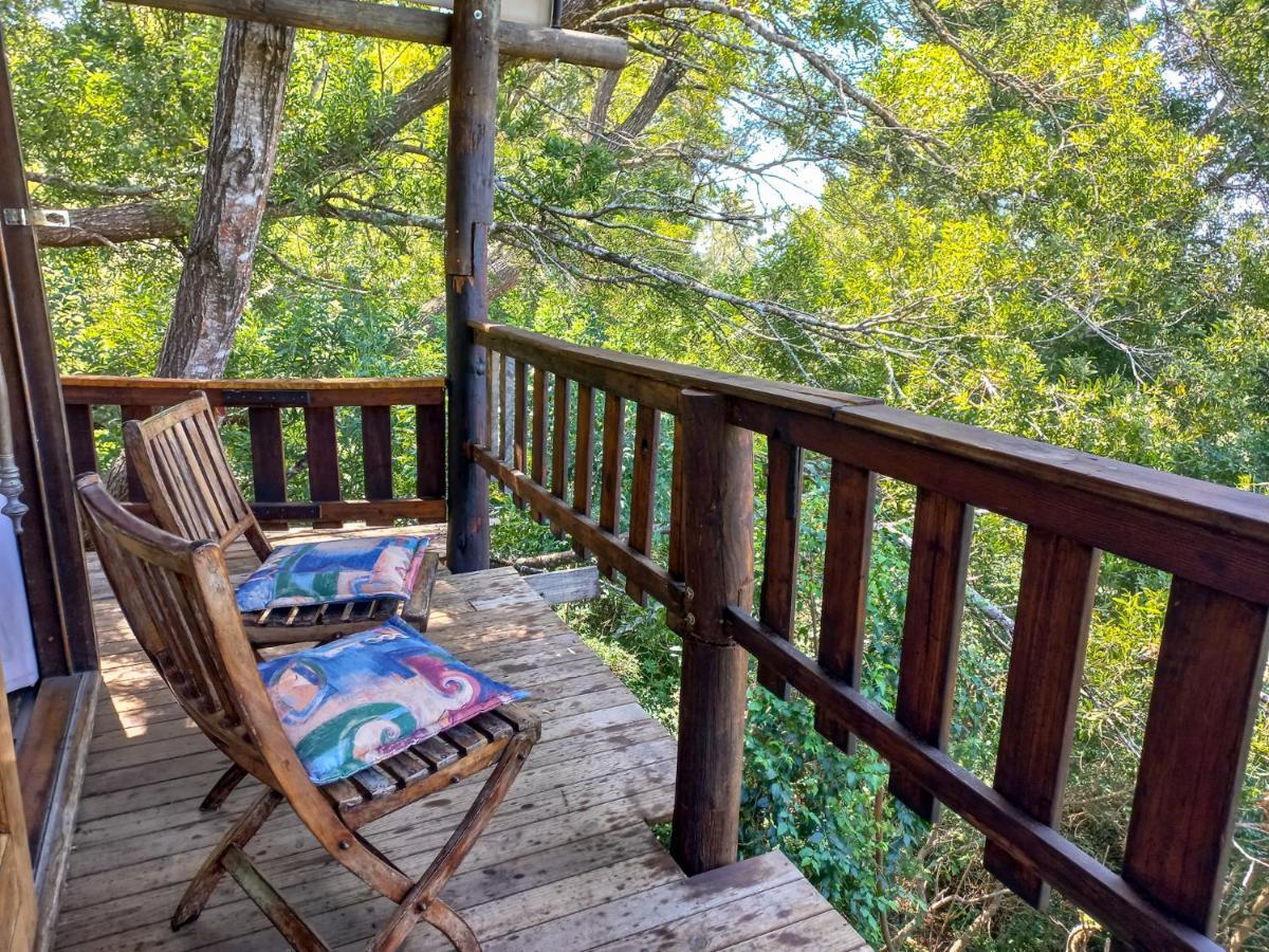 Fernhill Tented Treehouses Rheenendal Kültér fotó