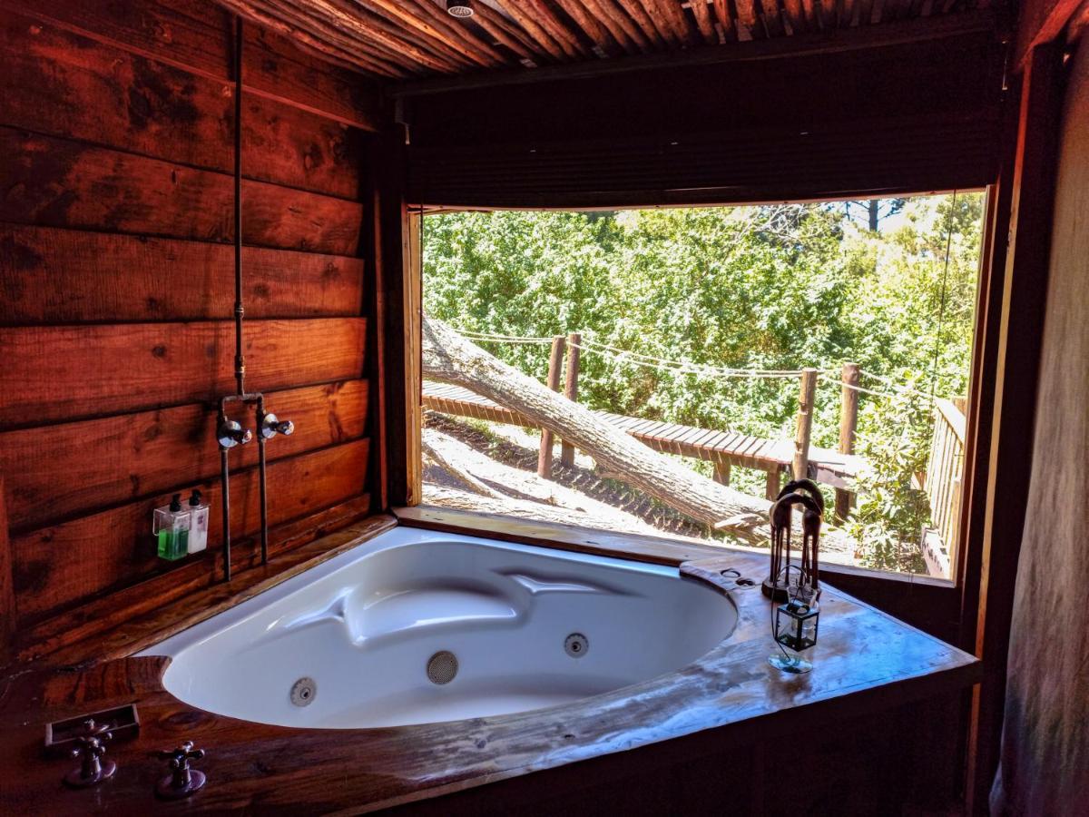 Fernhill Tented Treehouses Rheenendal Kültér fotó