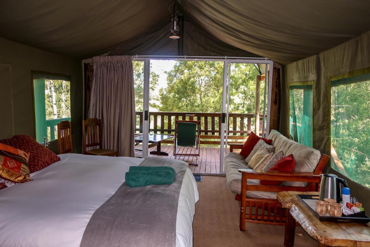 Fernhill Tented Treehouses Rheenendal Kültér fotó