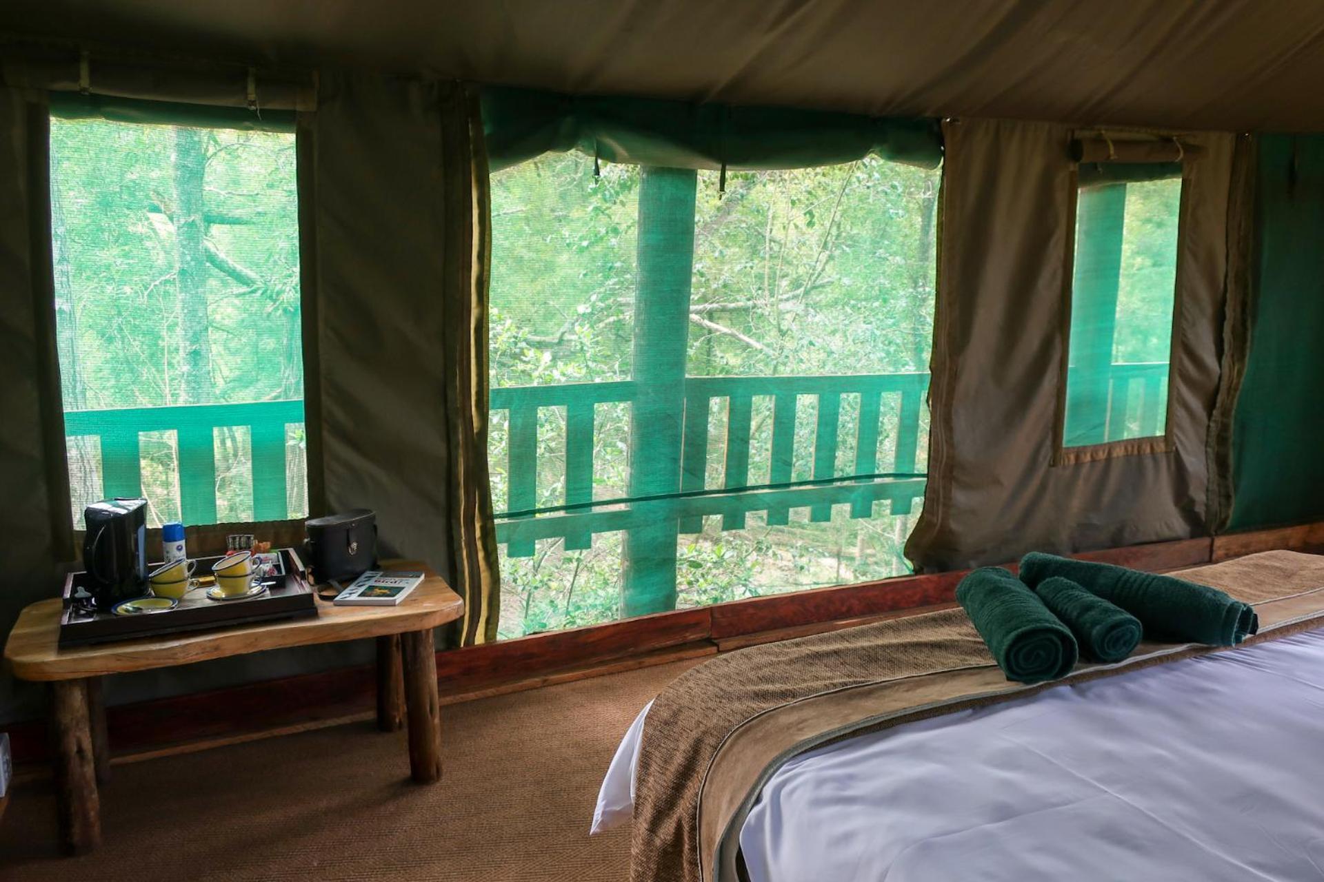 Fernhill Tented Treehouses Rheenendal Szoba fotó
