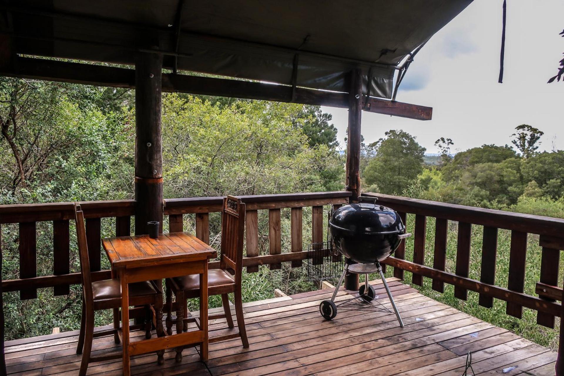Fernhill Tented Treehouses Rheenendal Szoba fotó