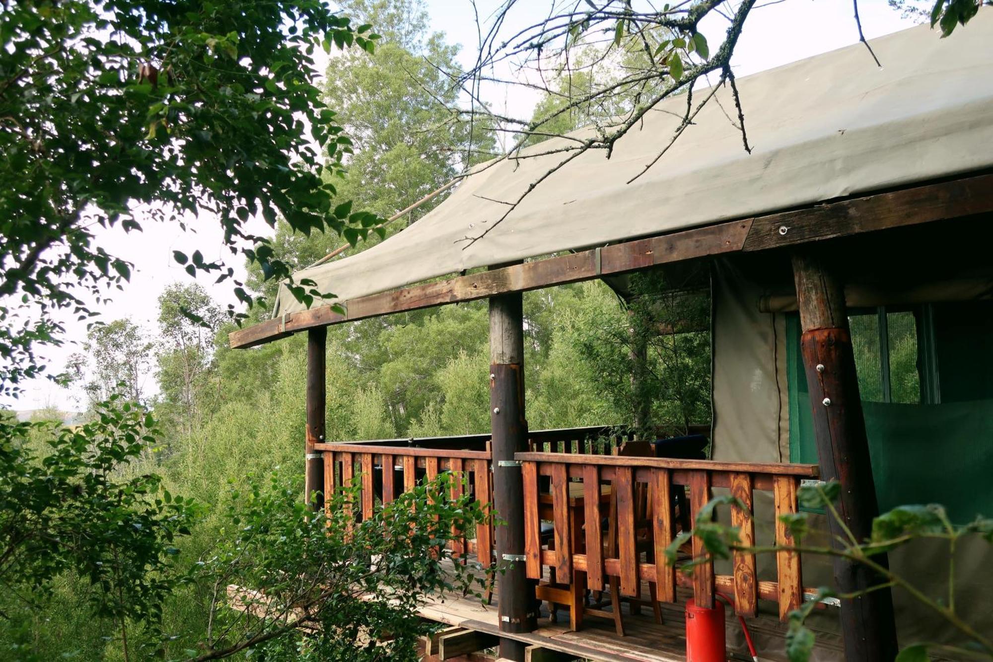 Fernhill Tented Treehouses Rheenendal Szoba fotó