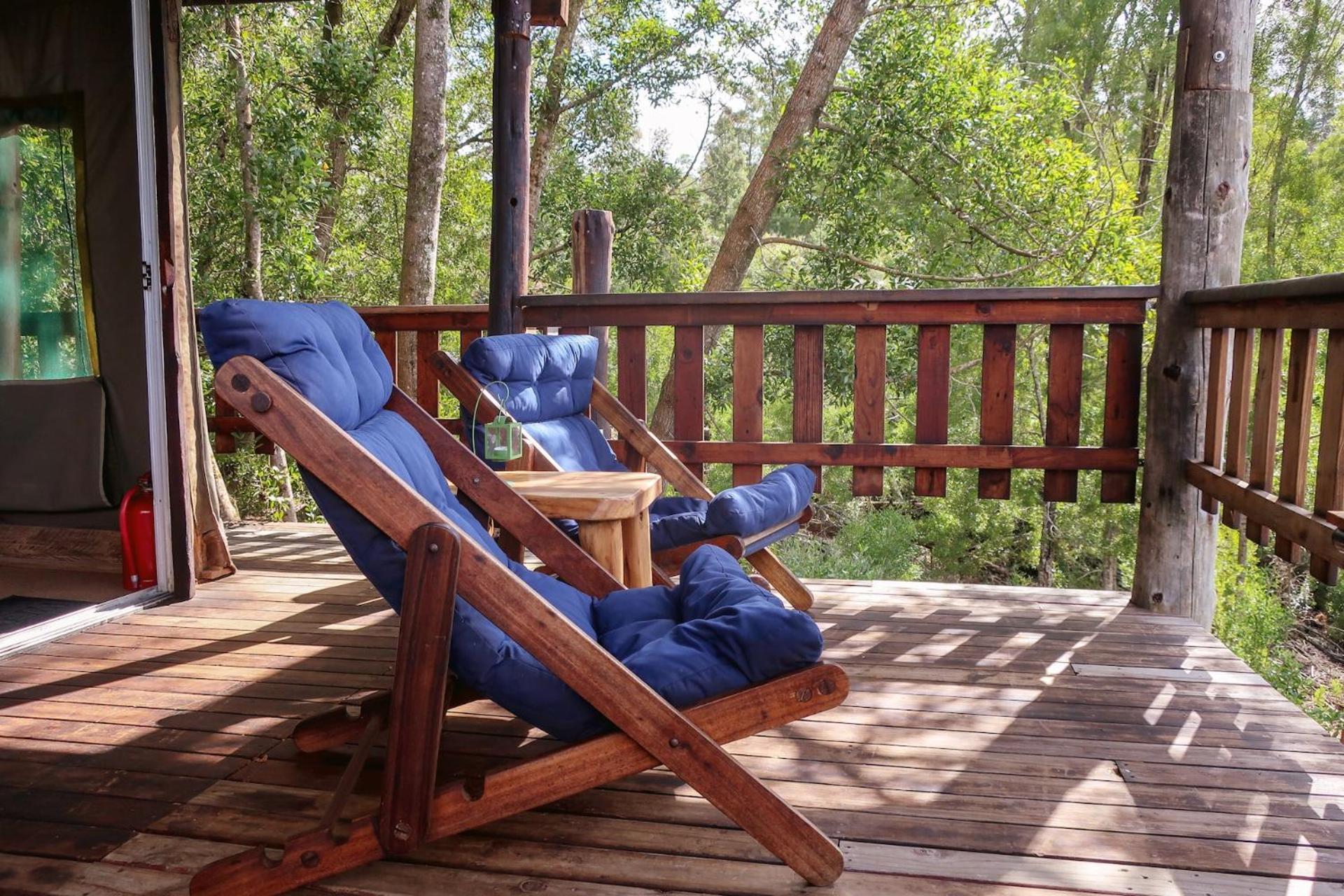 Fernhill Tented Treehouses Rheenendal Szoba fotó