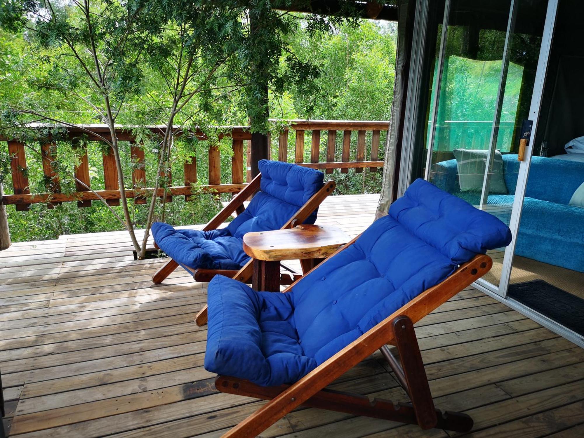 Fernhill Tented Treehouses Rheenendal Szoba fotó
