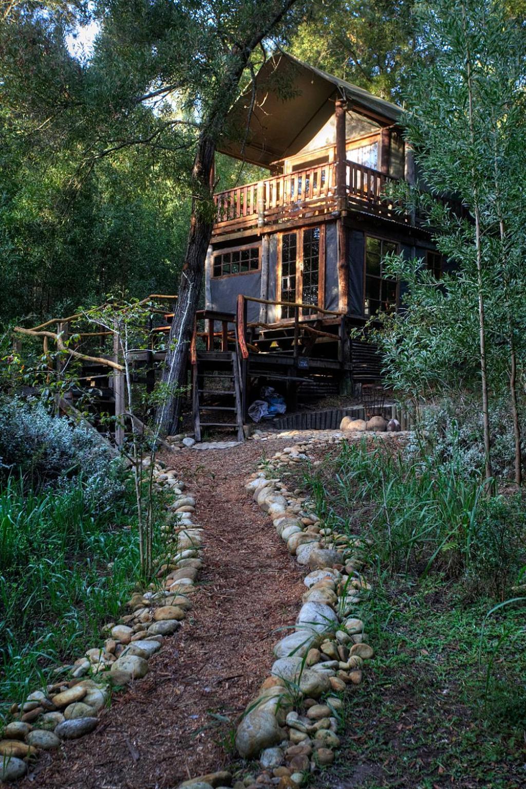 Fernhill Tented Treehouses Rheenendal Szoba fotó