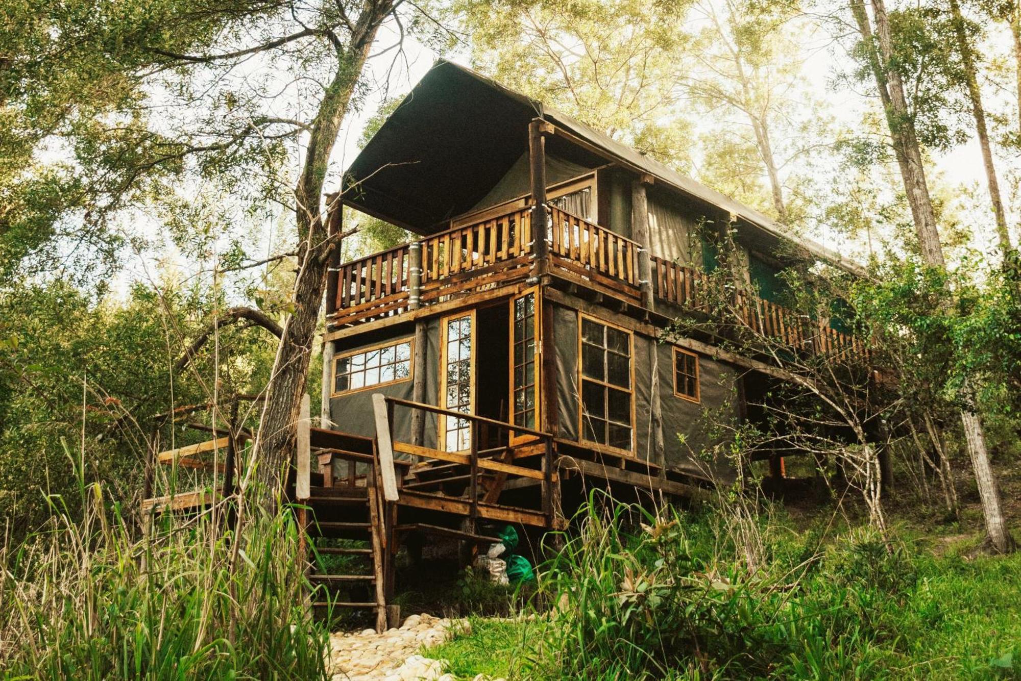 Fernhill Tented Treehouses Rheenendal Kültér fotó